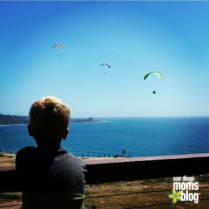 Torrey Pines Gliderport: Torrey Pines