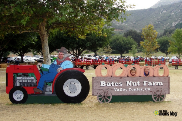 fall pumpkin patches