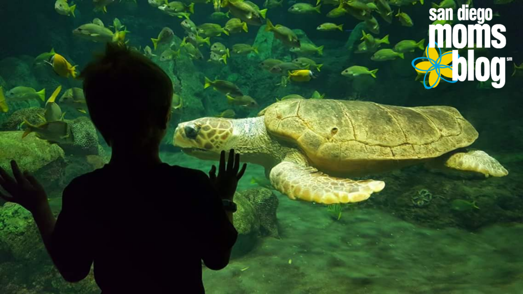 science san diego science san diego