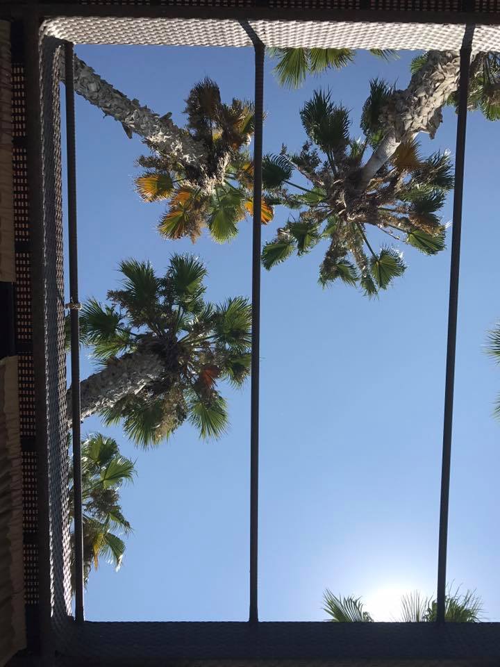 staycation