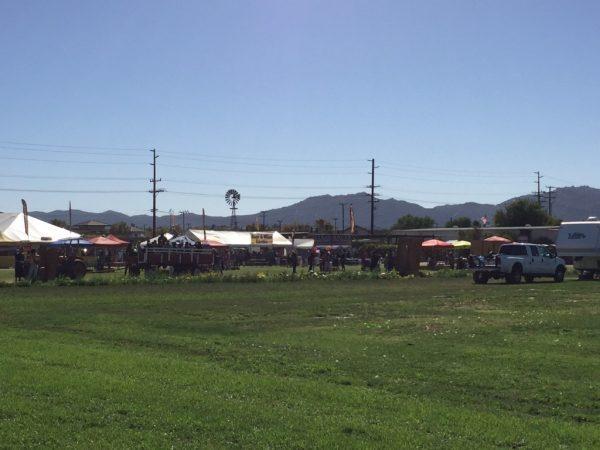 corn maze