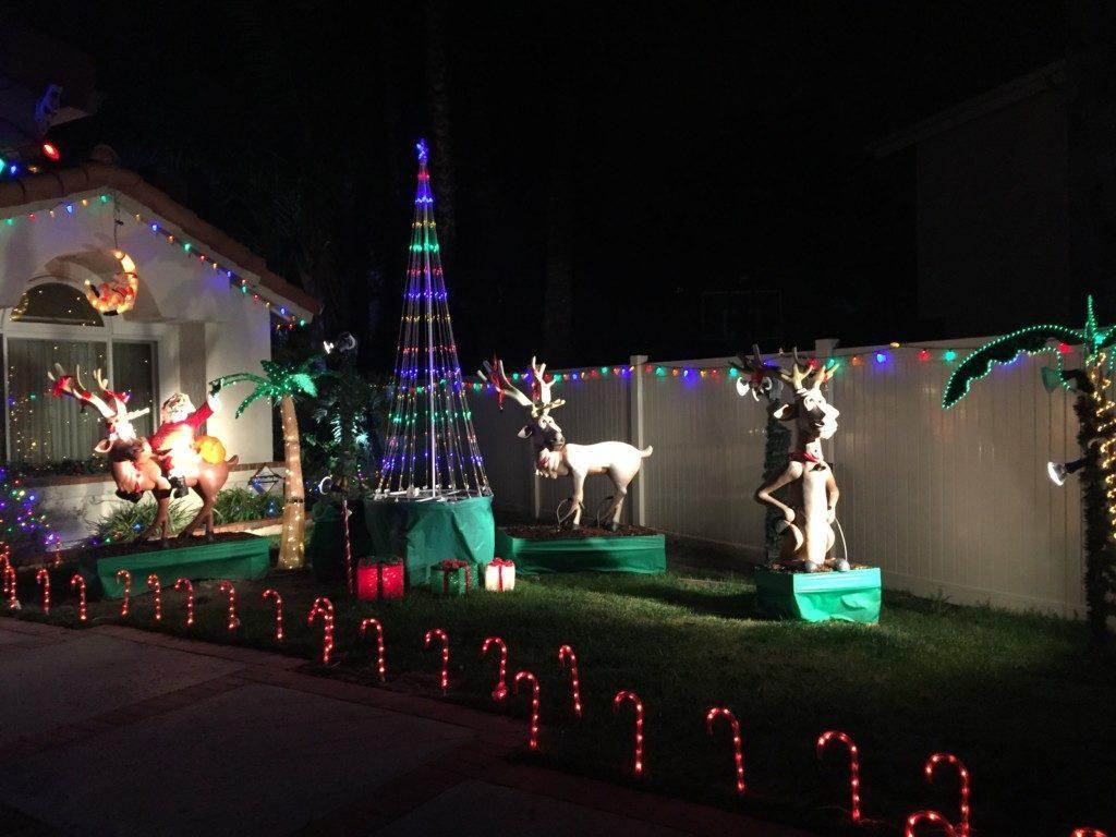 candy cane
