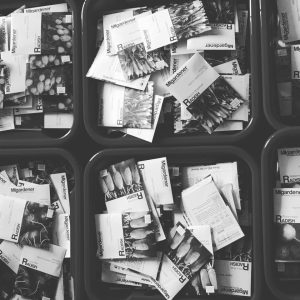 springtime gardening springtime gardening