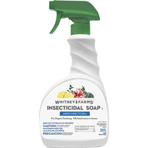 springtime gardening springtime gardening