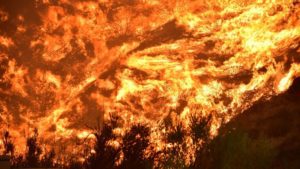 wildfire flames