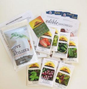 easy summer garden