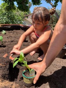 kids gardening
