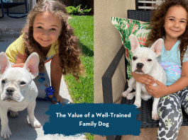 The Value of a Well-Trained Family Dog well-trained family dog