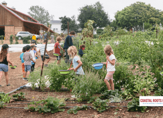 farm camp