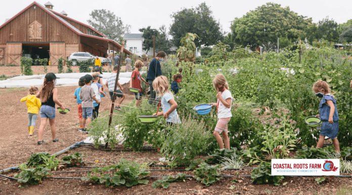 farm camp