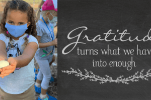 gratitude -2