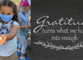 gratitude