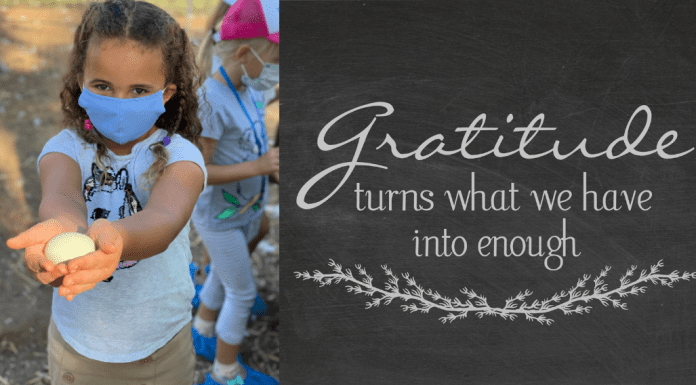 gratitude