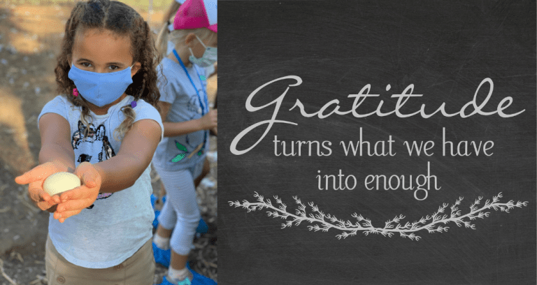 gratitude