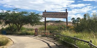 Restaurant entrance sign surrounding by trees