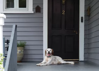 homelife video door with dog