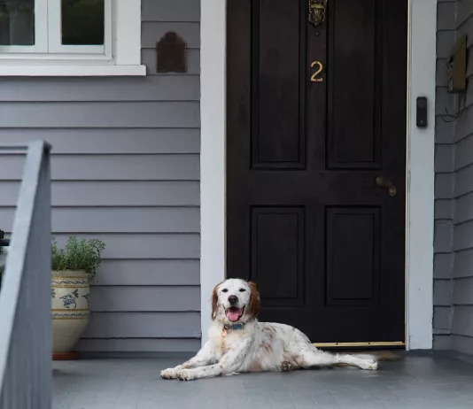 Home Technology Trends for the New Year from Cox homelife video door with dog