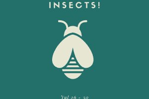 Insects