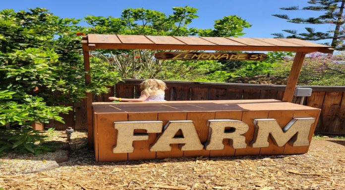 Hands-on exhibit at the Water Conservation Garden