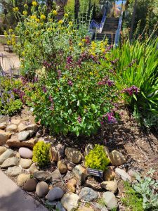 Beautiful Garden Ideas are All Around