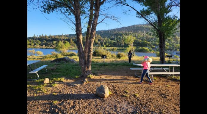 Sunshine at Campsite