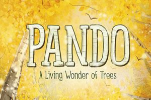 cal-event-pando-storytime
