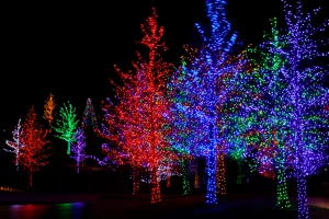 camp christmas