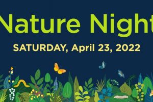 Nature Night