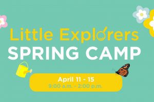 fb Spring Camp