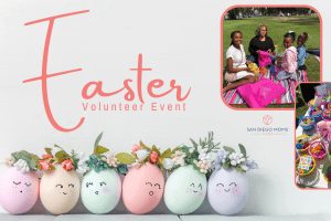 Volunteer Event-2