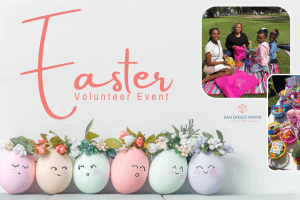 Volunteer Event