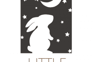 cropped-Little-Wonderland-Logo-1