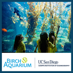 birch aquarium