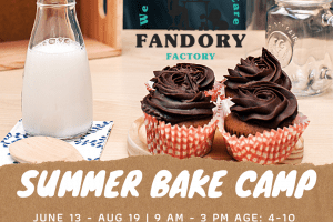 Fandory Summer Bake Camp Post
