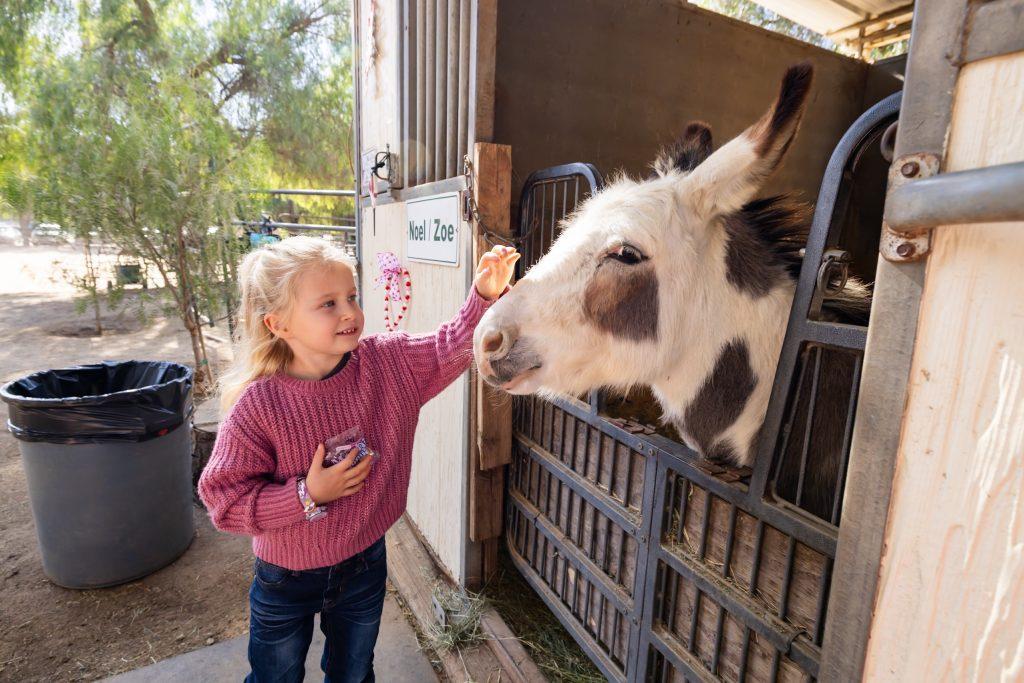 animal farm - Jamul Trails Ranch