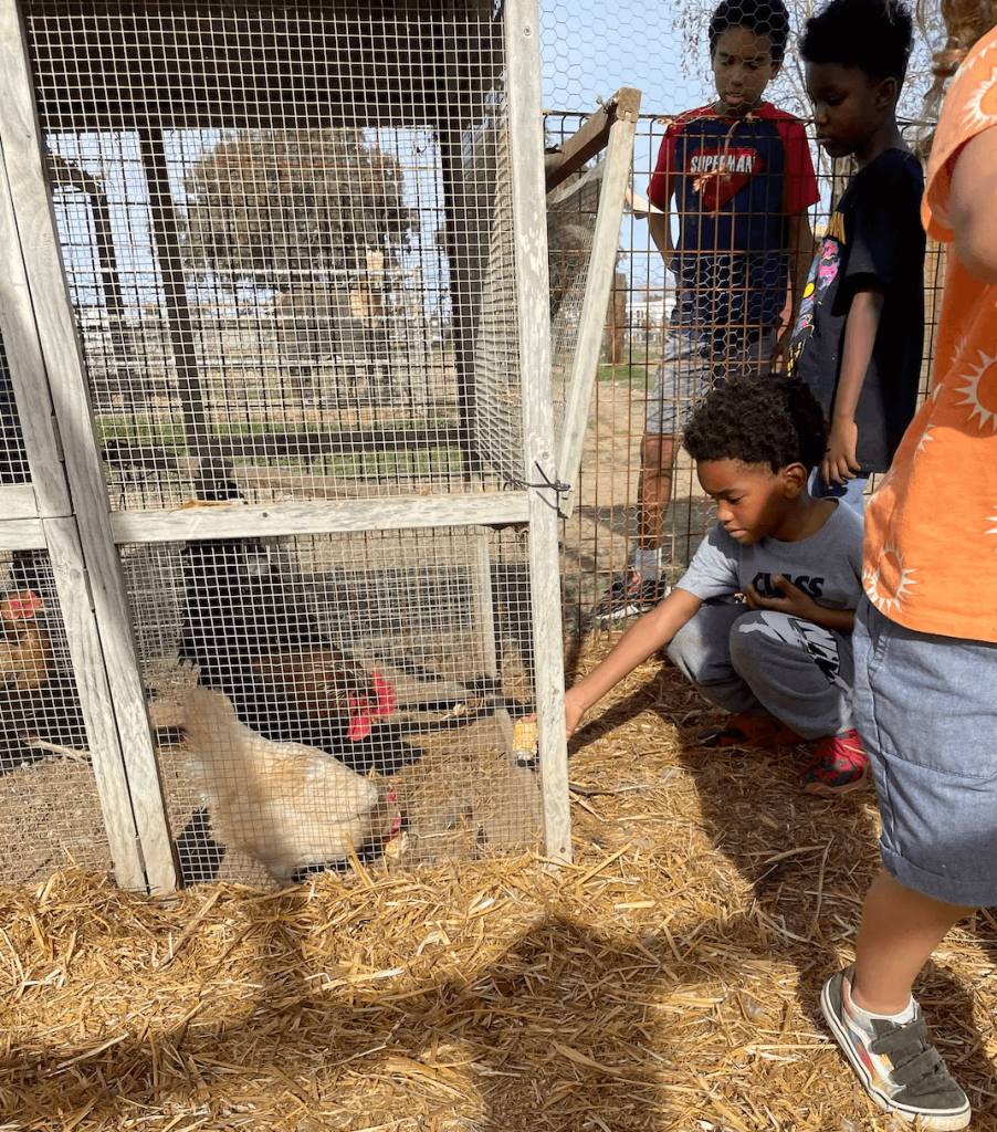 animal farms san diego