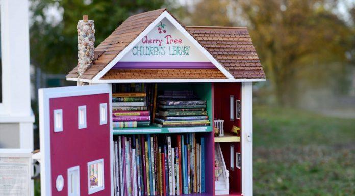 Little Free Library