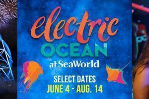 Electric Nights at Sea World
