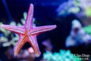 Slimy Sea Creatures