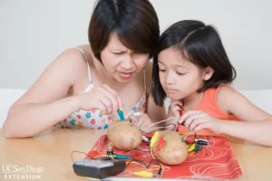 Vegetable Batteries