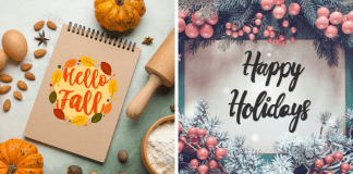 fall and holiday guide