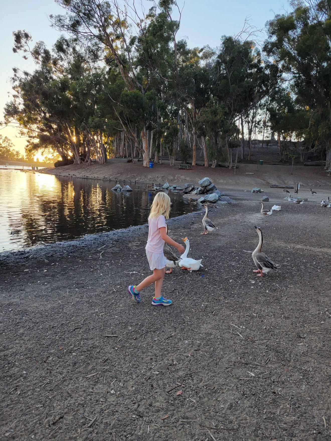 Five Ways to Explore Chollas Lake Park