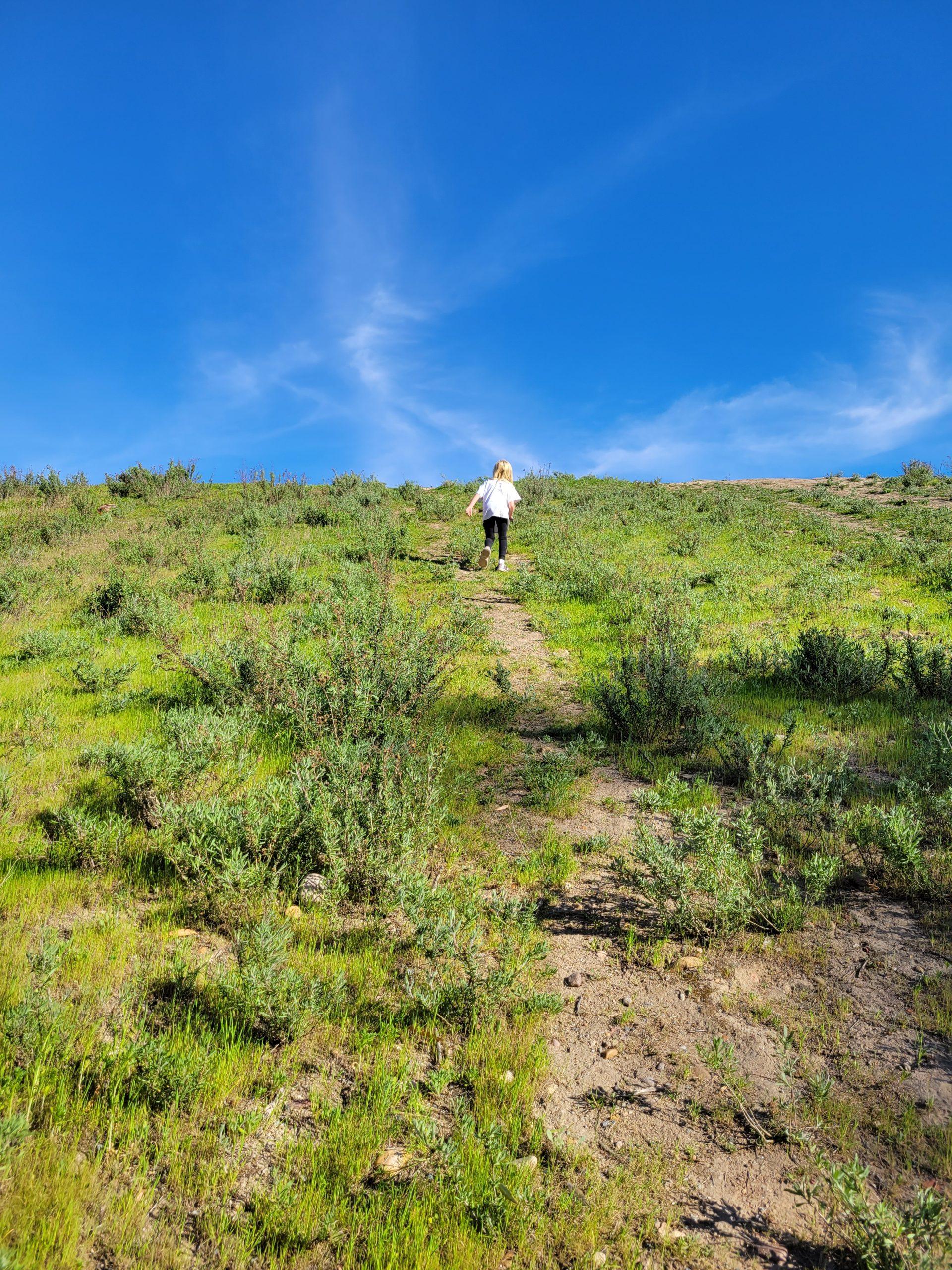 Five Ways to Explore Chollas Lake Park