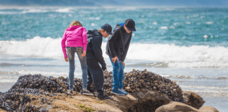 Kids adventuring in summer at local beach