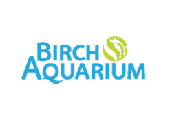 birch logo