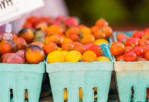 san diego farmers market