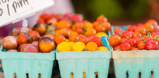 san diego farmers market