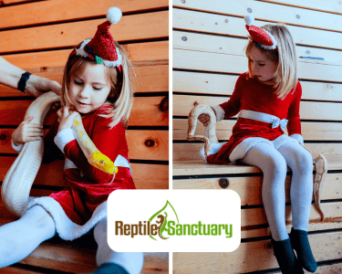 Untitled design (24) Untitled design (24)