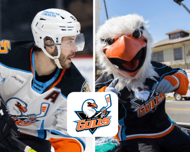 Untitled design (31)