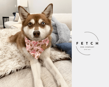 fetch dog co